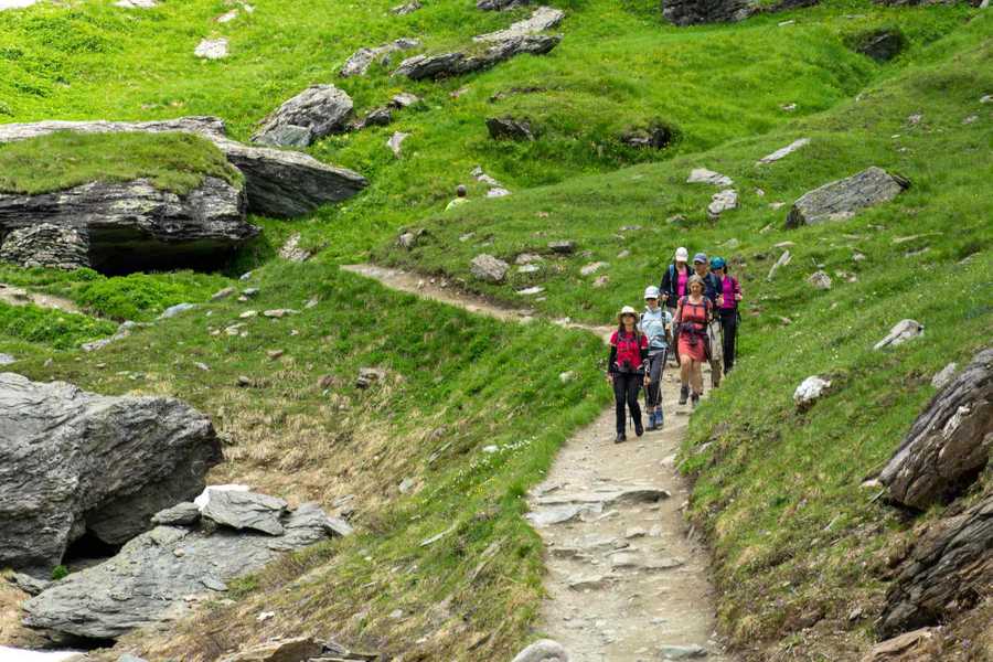 A remote mountain retreat, with daily yoga and guided hikes.