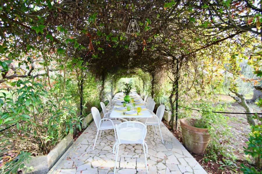 Luxury villa in midst of an ancient olive grove, ideal for families