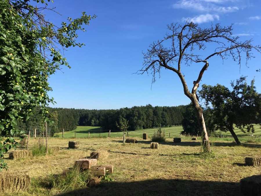 Varm - the vegan farm - a kind of sanctuary for animals and humans