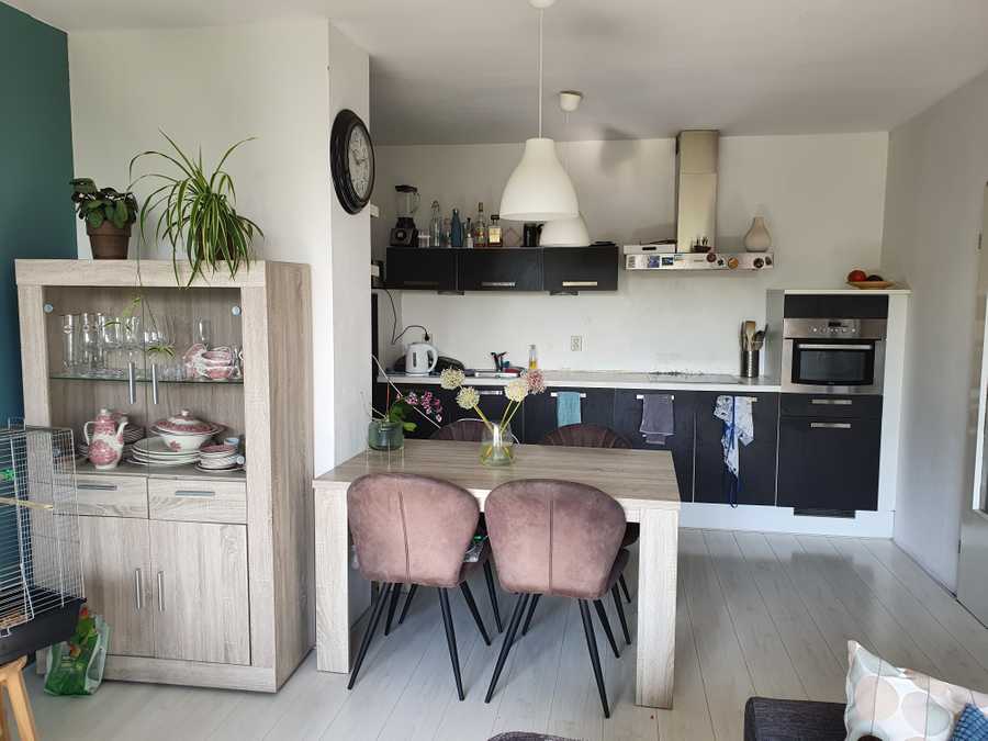 Beautiful vegan home in amsterdam