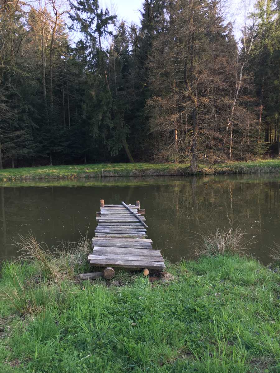 Varm - the vegan farm - a kind of sanctuary for animals and humans
