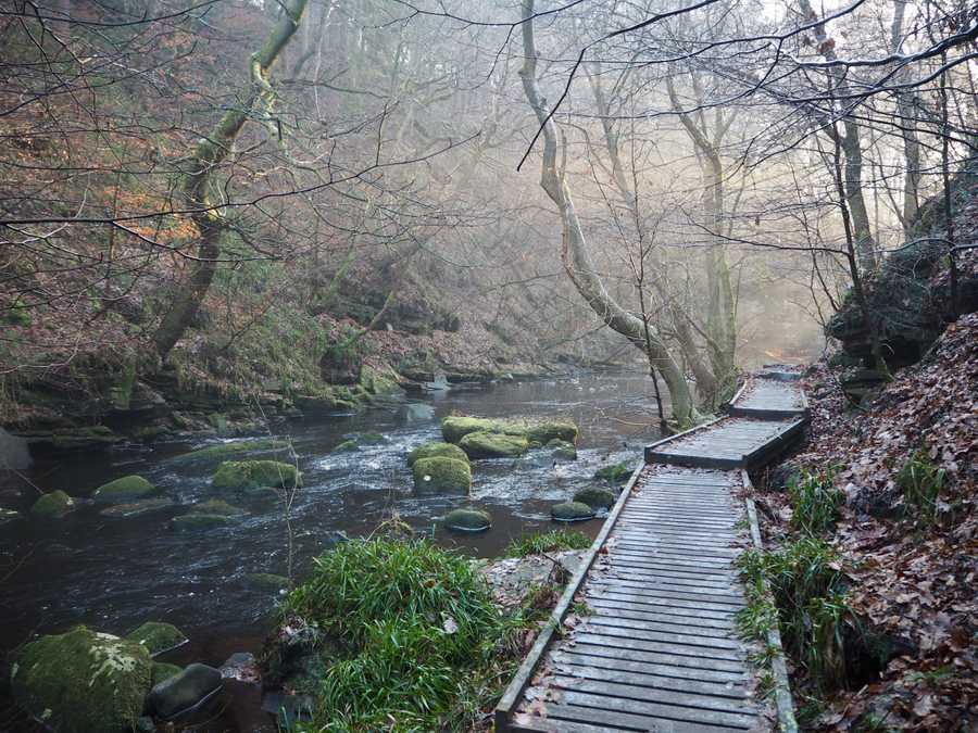 The Vegan Home, 3 bedrooms, Hebden Bridge Riverside, Pennine Way
