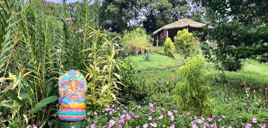 Affordable Vacation for the Healthy Lifestyle & Natural Healing Center
