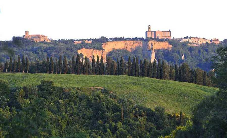 Suite Castello, central beautyhome in the historic center, with 100% vegan meals