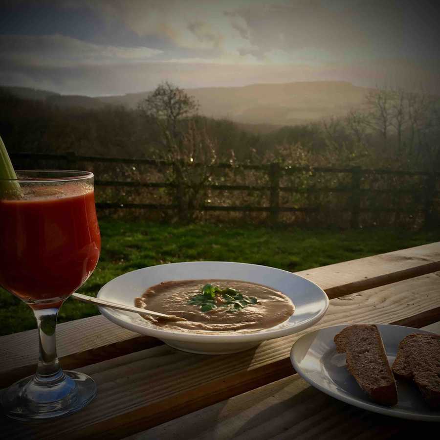 Magical 18th thatched cottage with stunning views, amazing vegan meals & hot tub