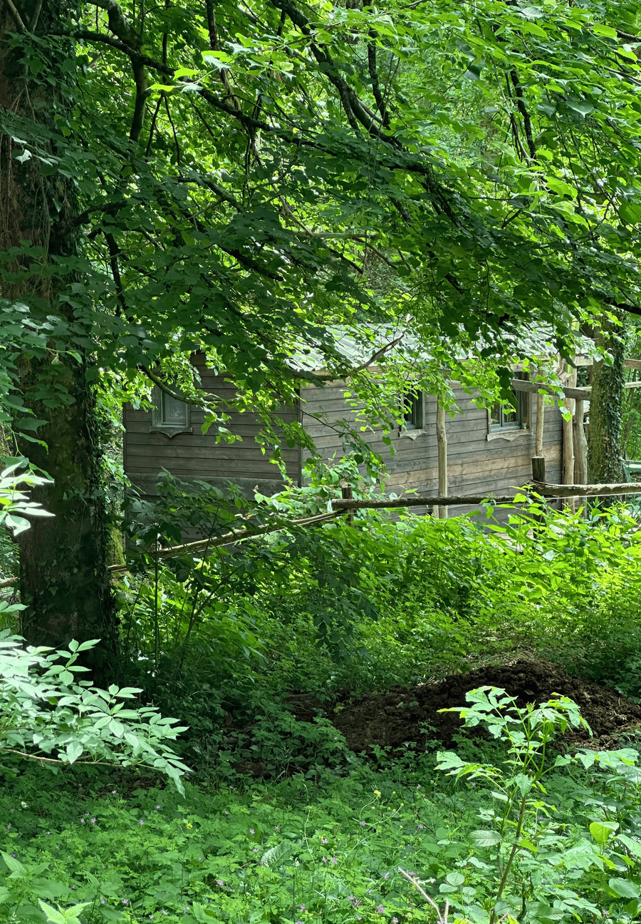 Beautiful gypsy wagon in nature