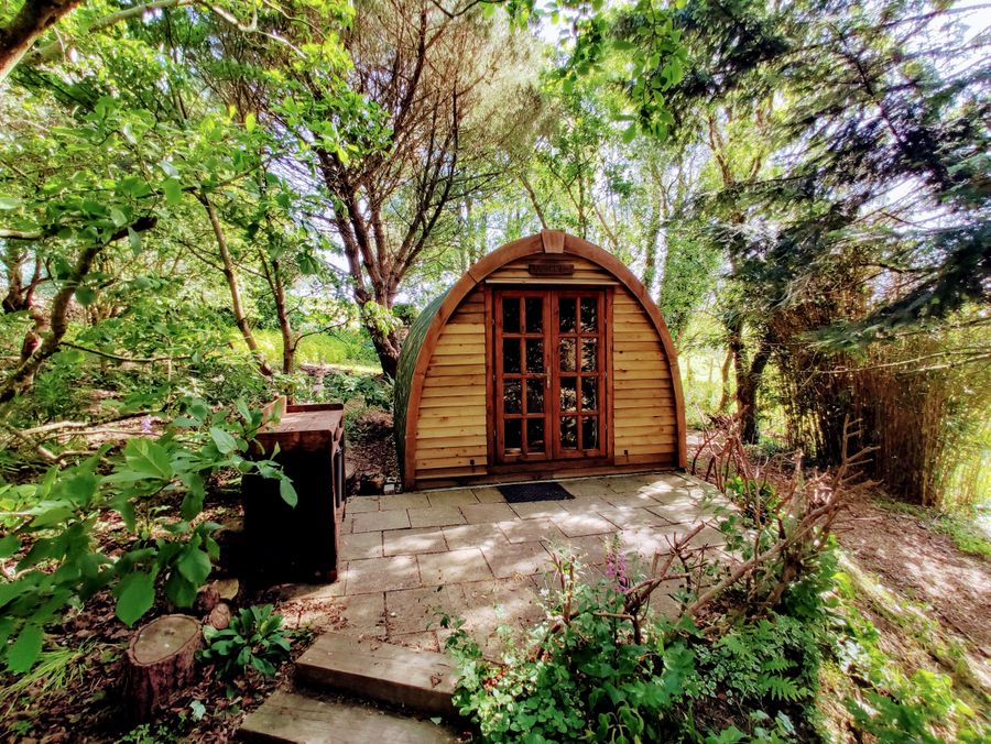 'Wollemia' The Peaceful Pod