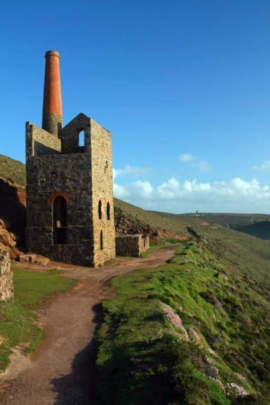 Planted vegan studio Cornwall.