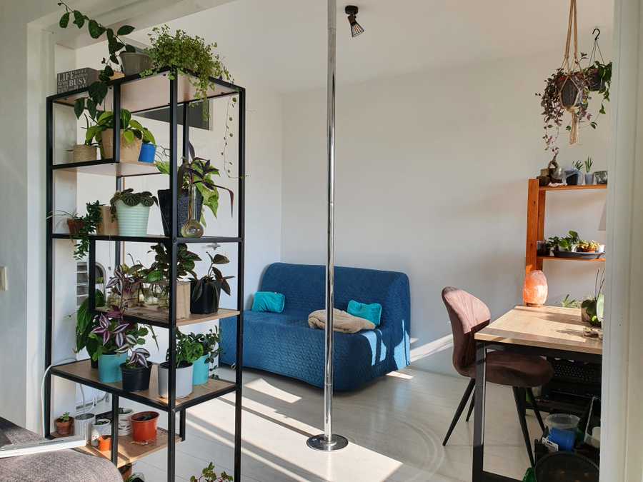 Beautiful vegan home in amsterdam