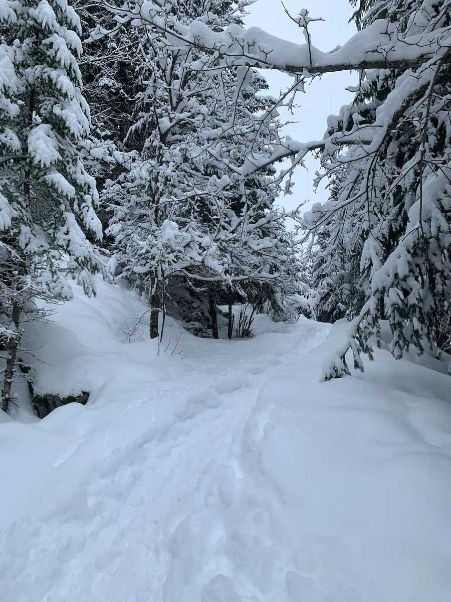Couples Mountain Retreat | Minutes from Trails and Ski Gondola