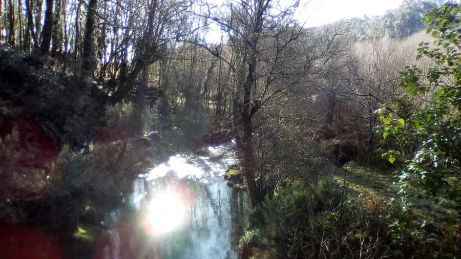 Rural vegan place in the heart of the Galician land