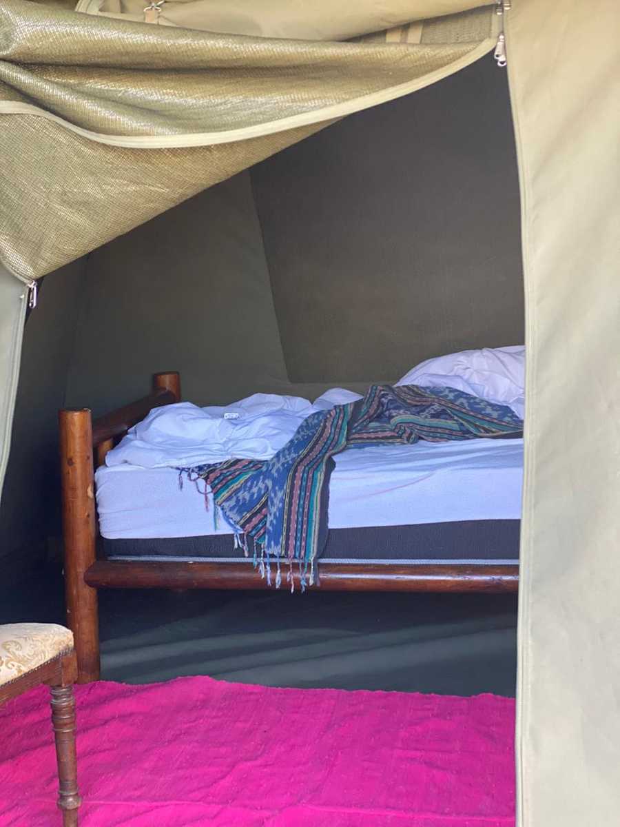 Luxury Tents @ Ricky's Drift Vegan Farm and Animal Sanctuary