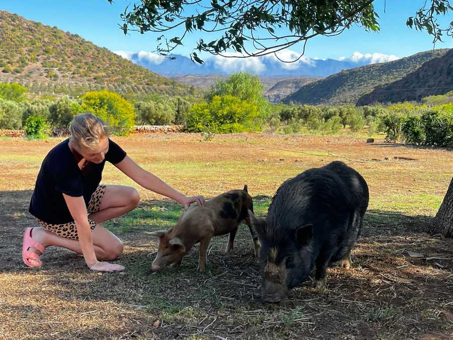 Luxury Tents @ Ricky's Drift Vegan Farm and Animal Sanctuary