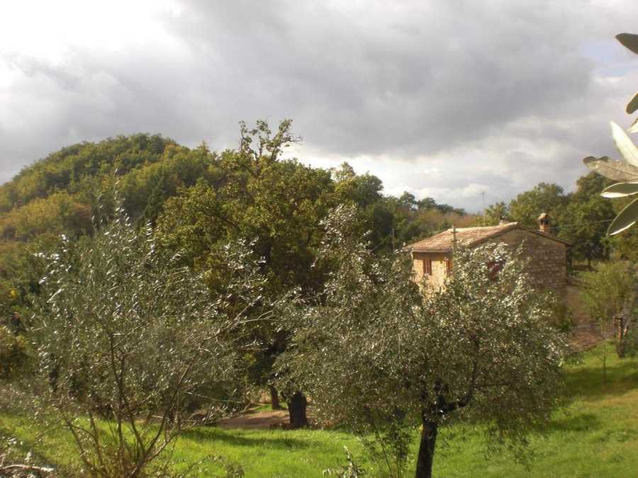 Nelle terre di San Francesco