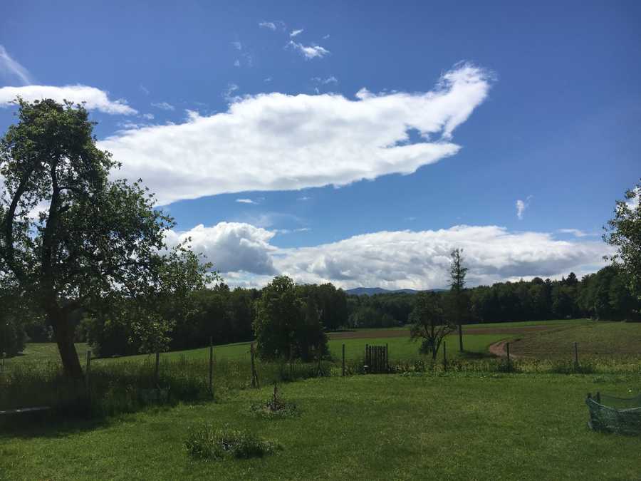 Varm - the vegan farm - a kind of sanctuary for animals and humans