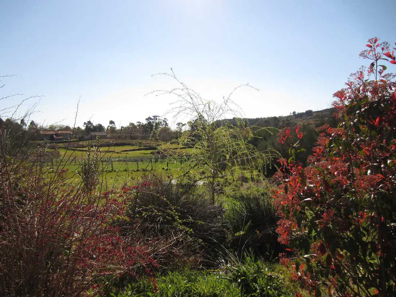 Rural vegan place in the heart of the Galician land