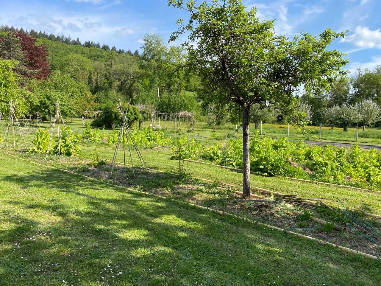 Welcome to a truly  enchanting Vegan Haven in the Iton River Valley, Normandy