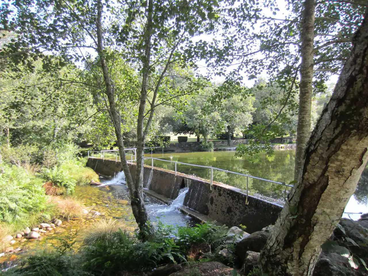 Rural vegan place in the heart of the Galician land
