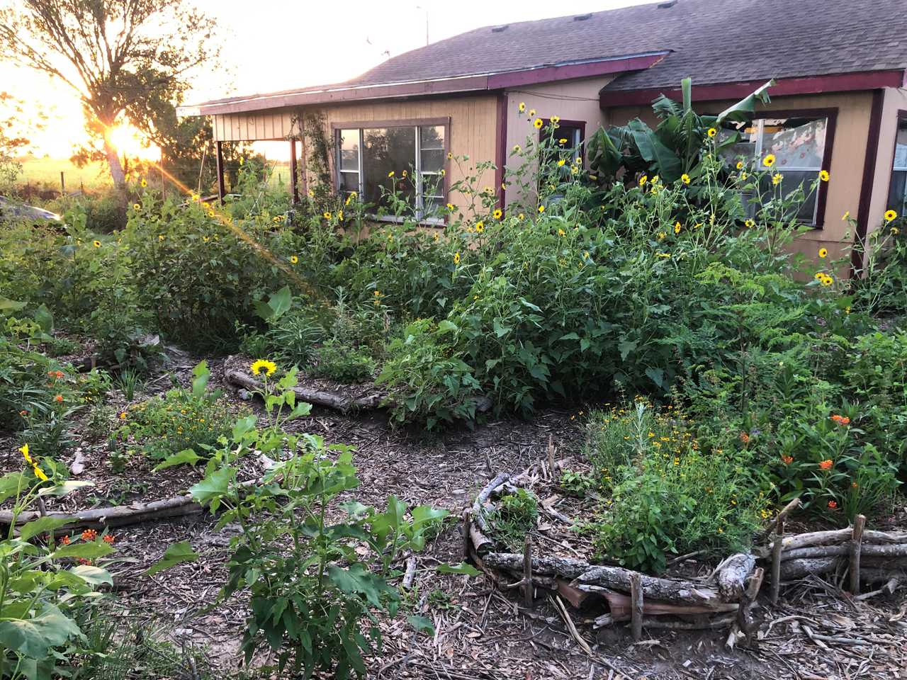 @The_Vegan_Homestead
