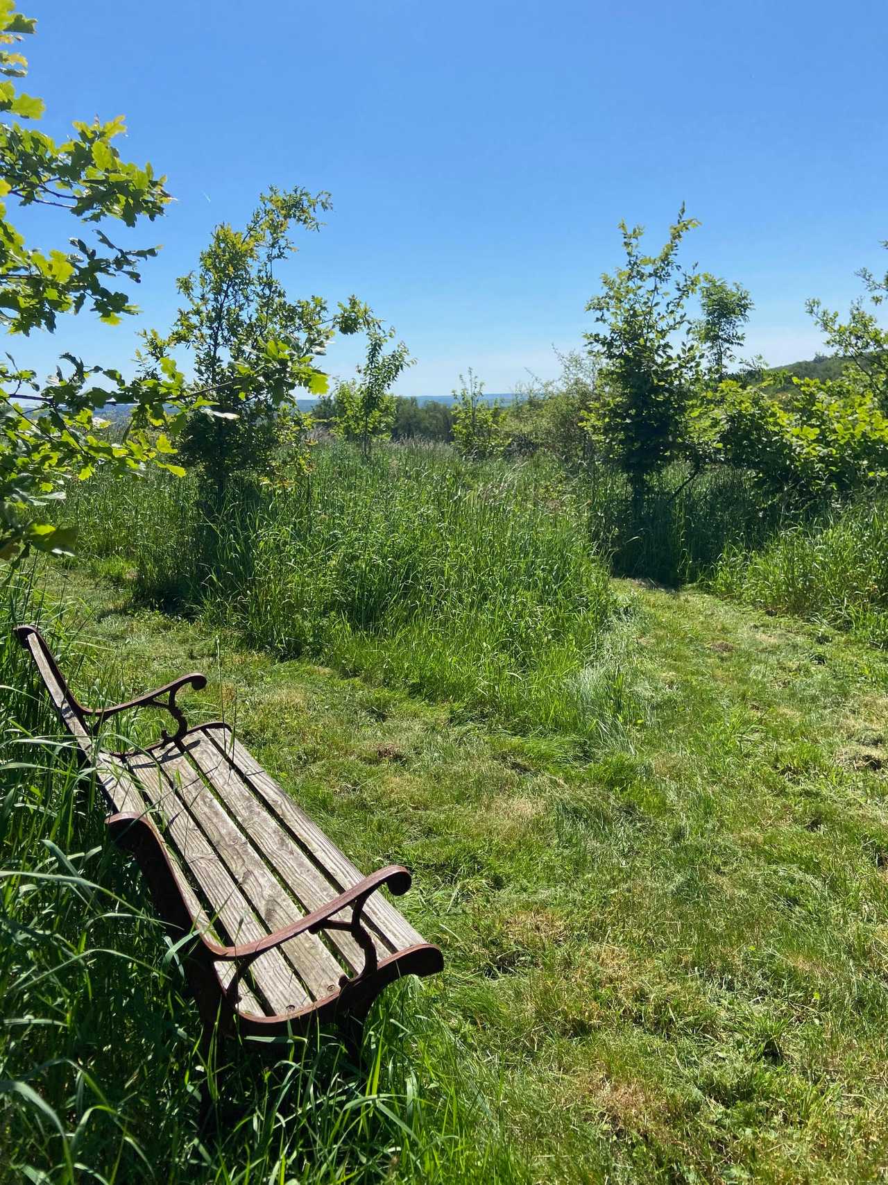 Vegan B&B in the Charente Limousine, rural France - Bedroom 1, GF