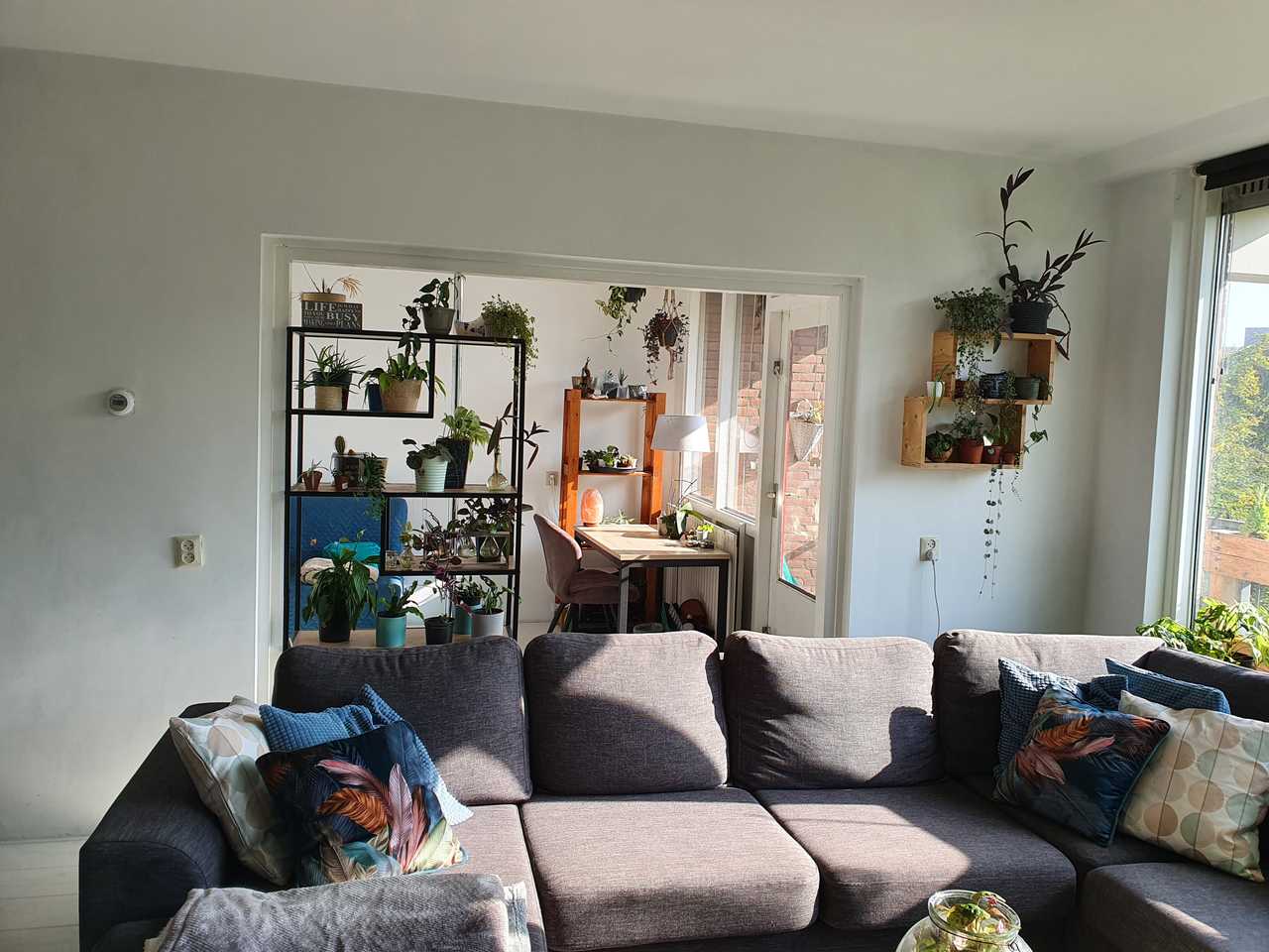 Beautiful vegan home in amsterdam
