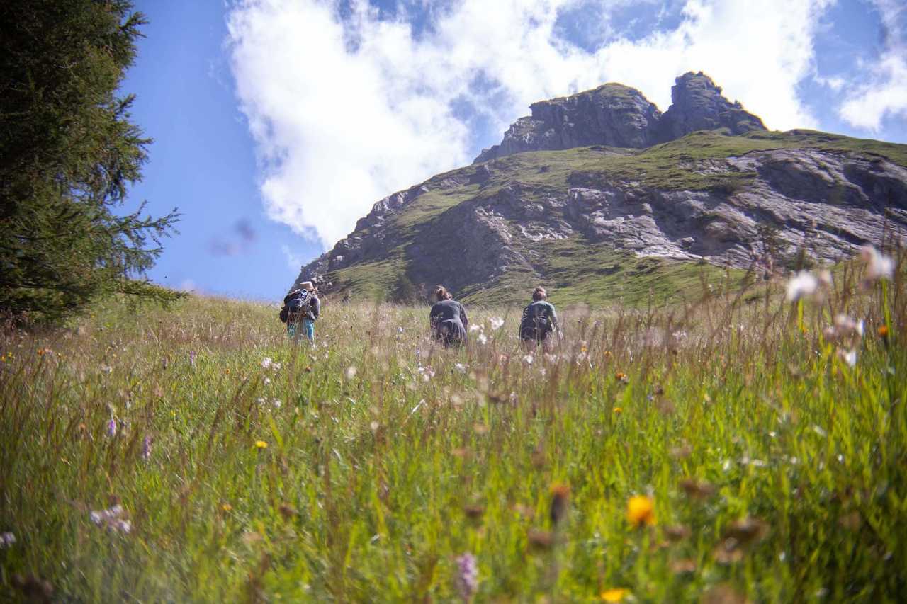  A remote mountain retreat, with daily yoga and guided hikes