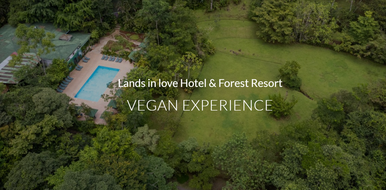 Lands in love hotel & forest resort 