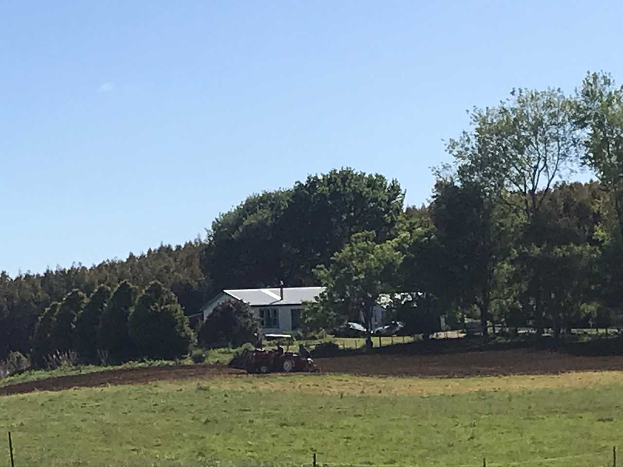 Farm Stay on a Farm Animal Sanctuary 