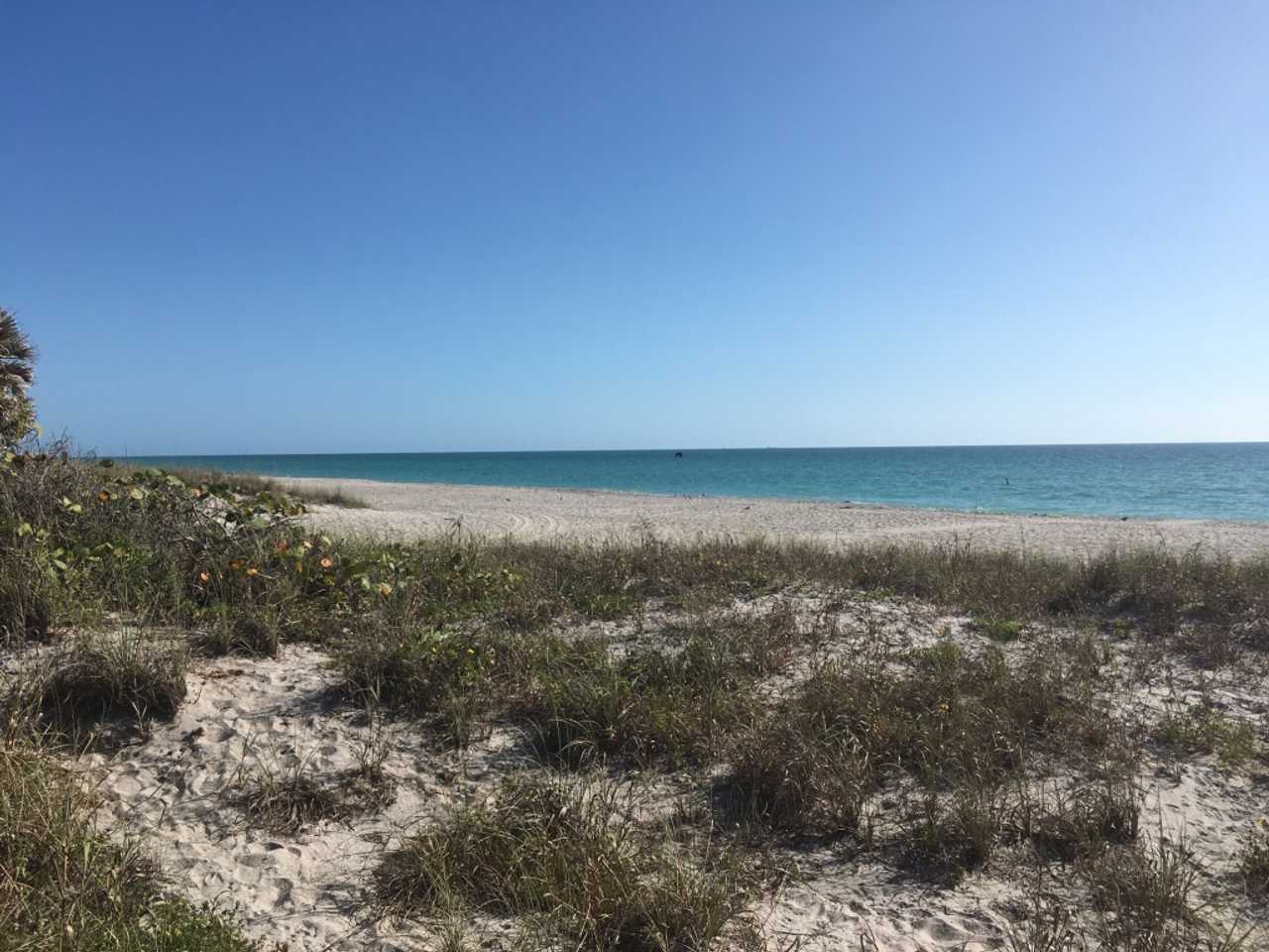 Living Heart Sanctuary in a quaint Florida coastal town near beautiful beaches