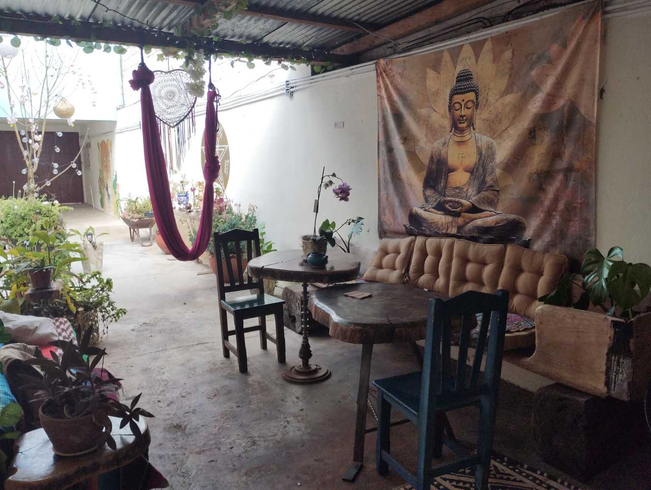 🌿 Worldbridger Sanctuary | Chakra Rooms, Vegetarian Living & Meditation