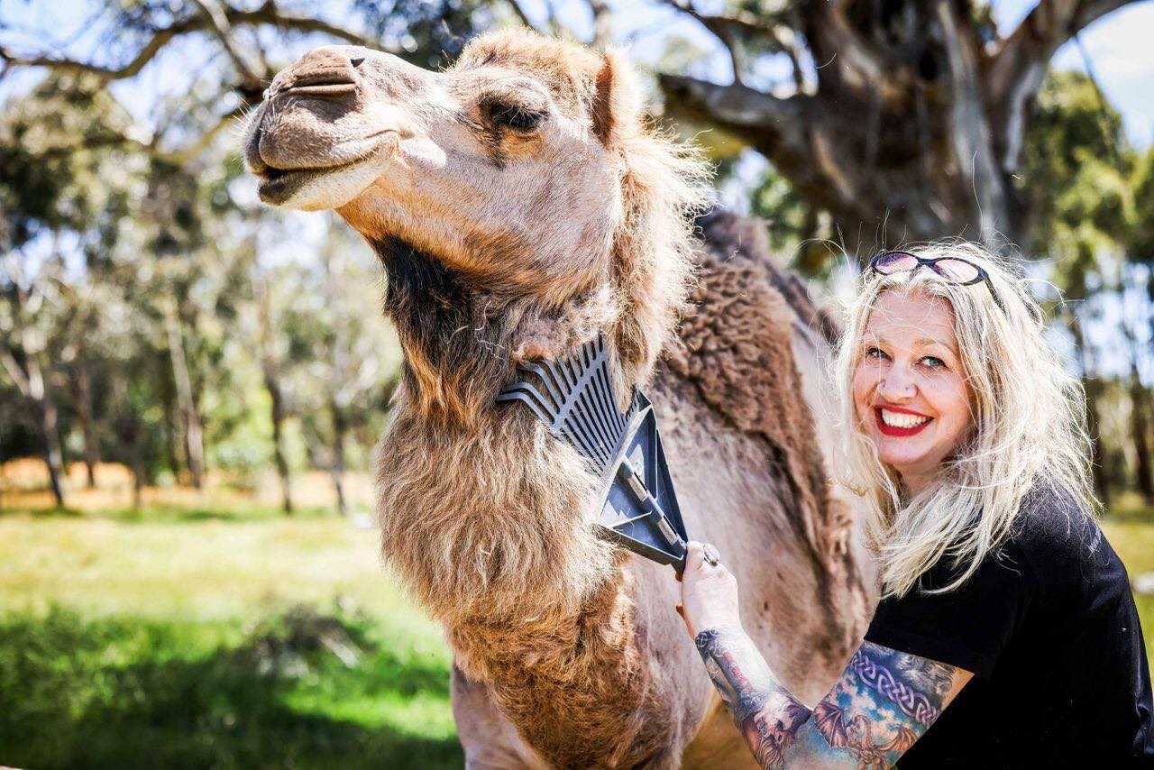 Galahad's Animal Sanctuary B&B
