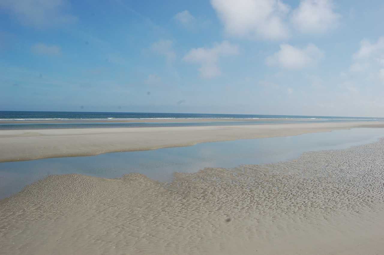 Private bedroom, 100% vegan hotel, half & full board available. Wadden sea area.