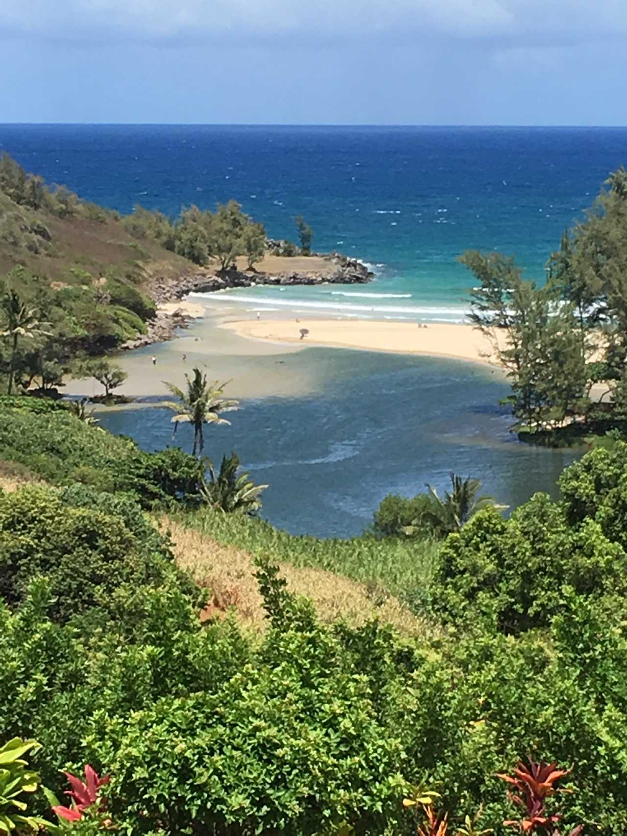 Awesome Guest Room In Healthy Home. Waterfalls, Hiking, Beach, Local Tips. 