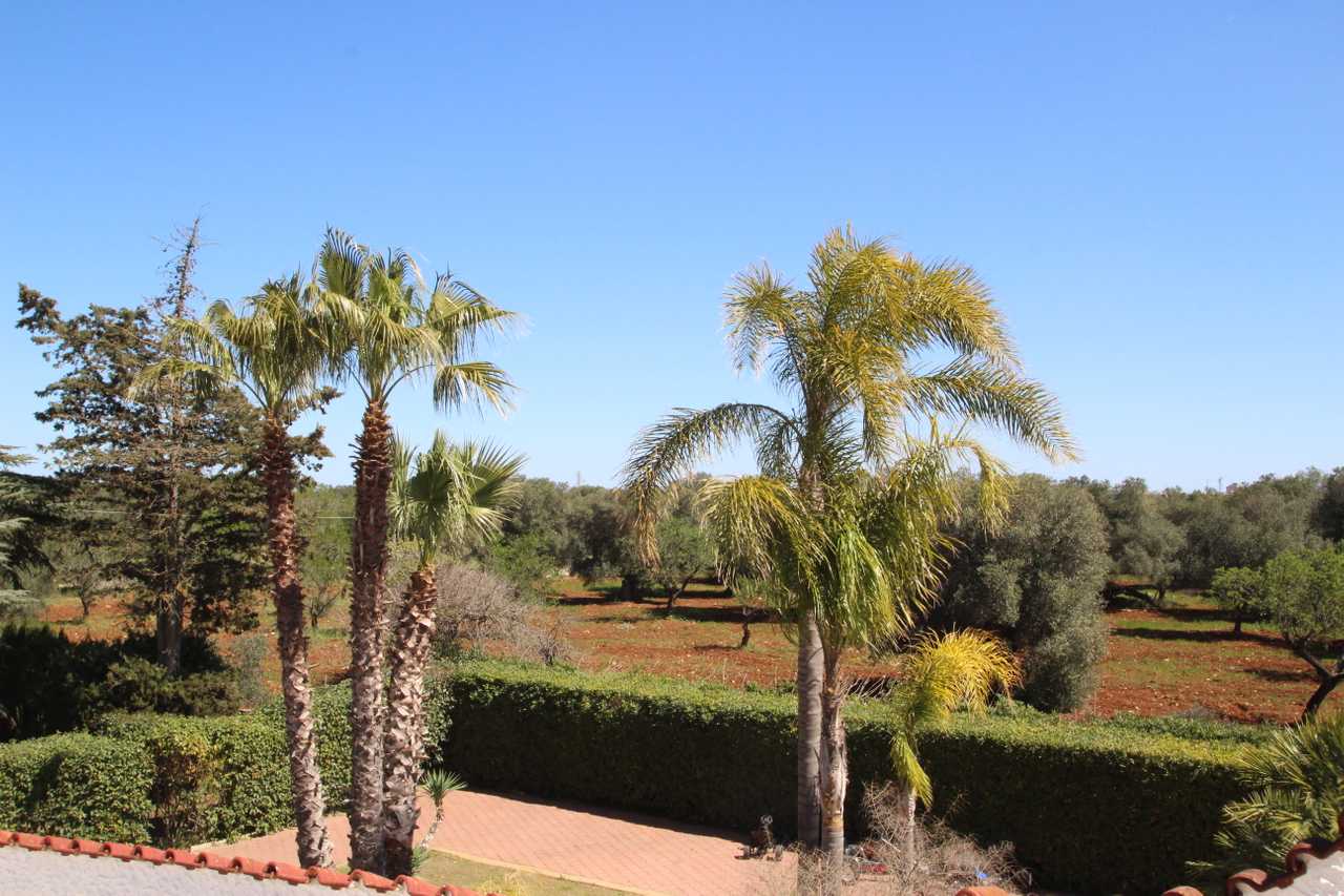 Luxury villa in midst of an ancient olive grove, ideal for families