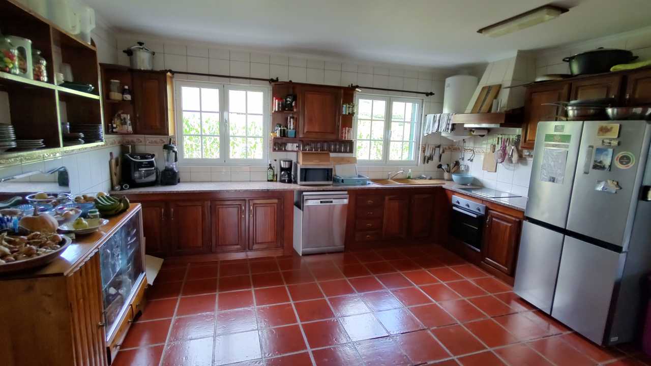 Vegan-Home with cats on the stunning island São Miguel