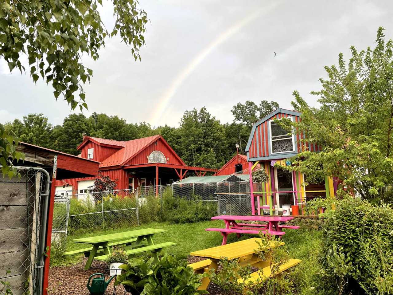 The Birds Nest at Song of the Robin Animal Sanctuary