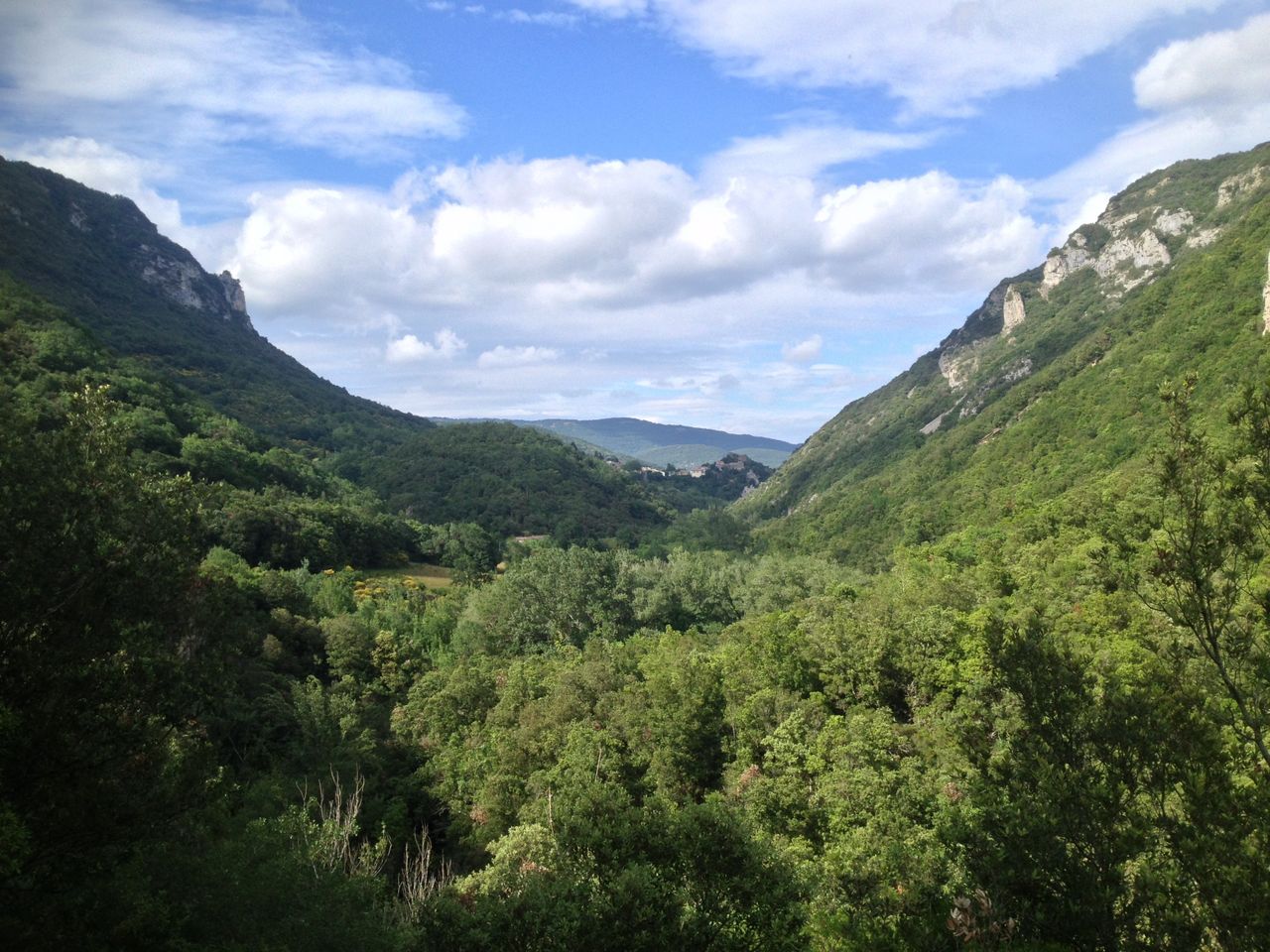 Back to Nature at the Mill!