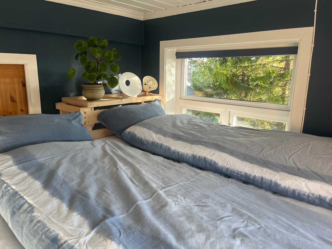 Cozy room with a view!