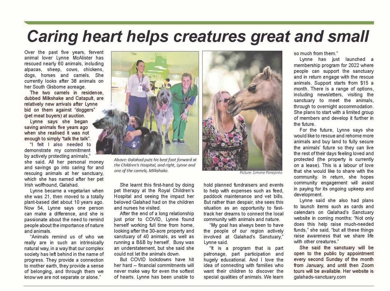 Galahad's Animal Sanctuary B&B