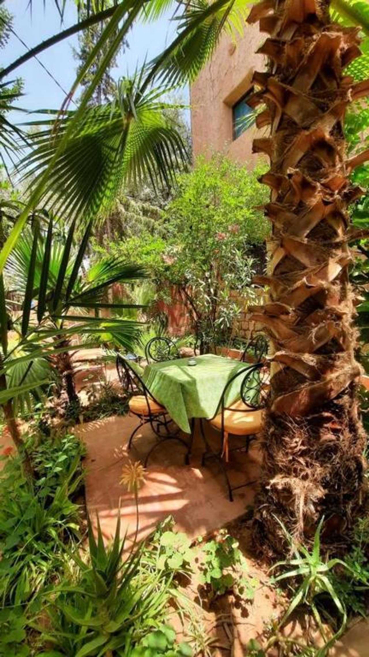 Vegan guest house DAR OUZOUD