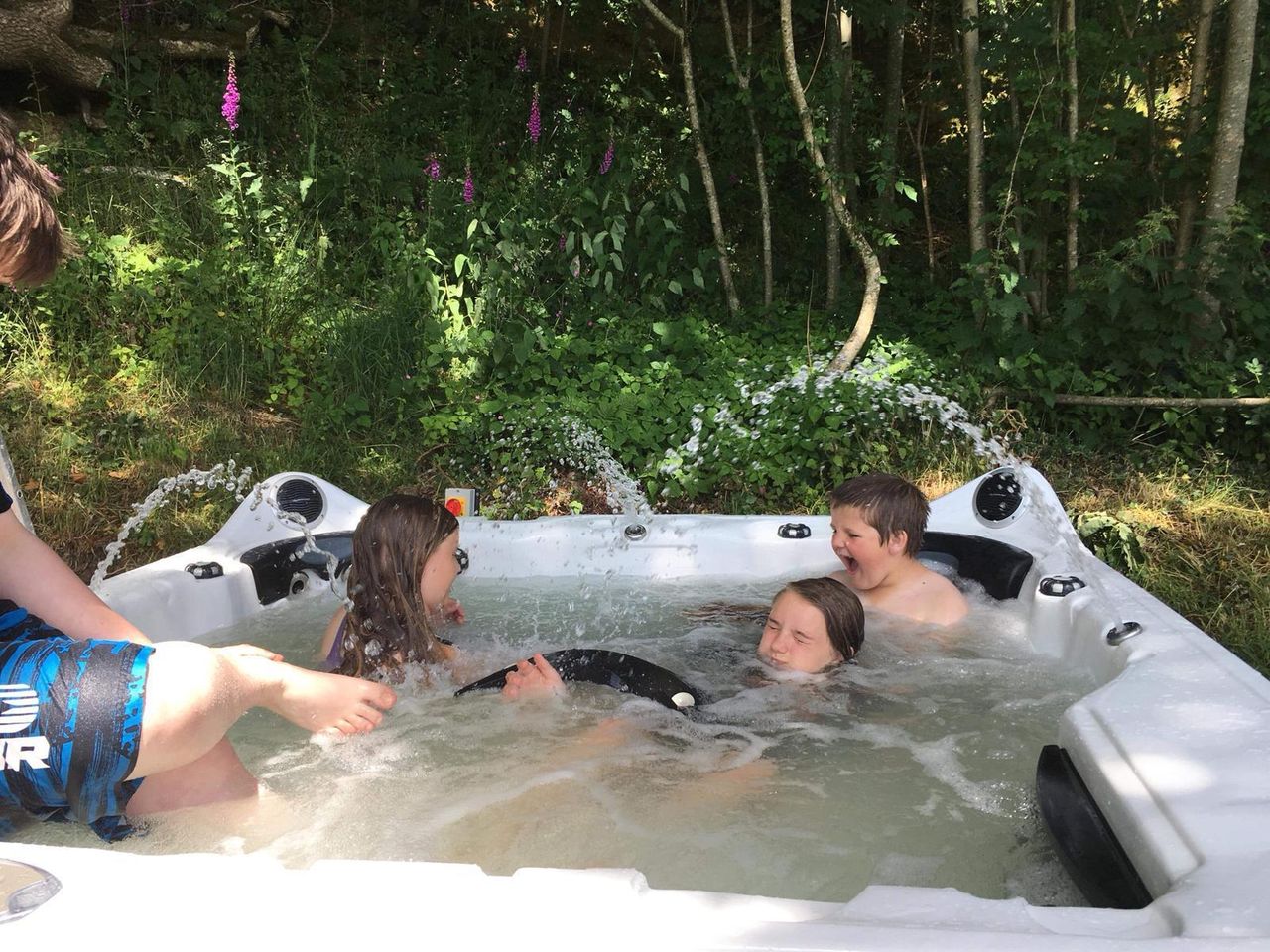 Robin's Realm - the affordable Welsh veggie countryside retreat