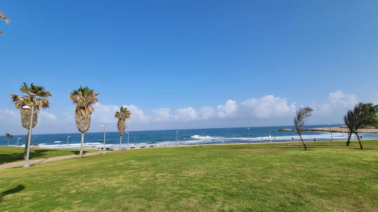 Vegan Israeli Apartment Near the Beach