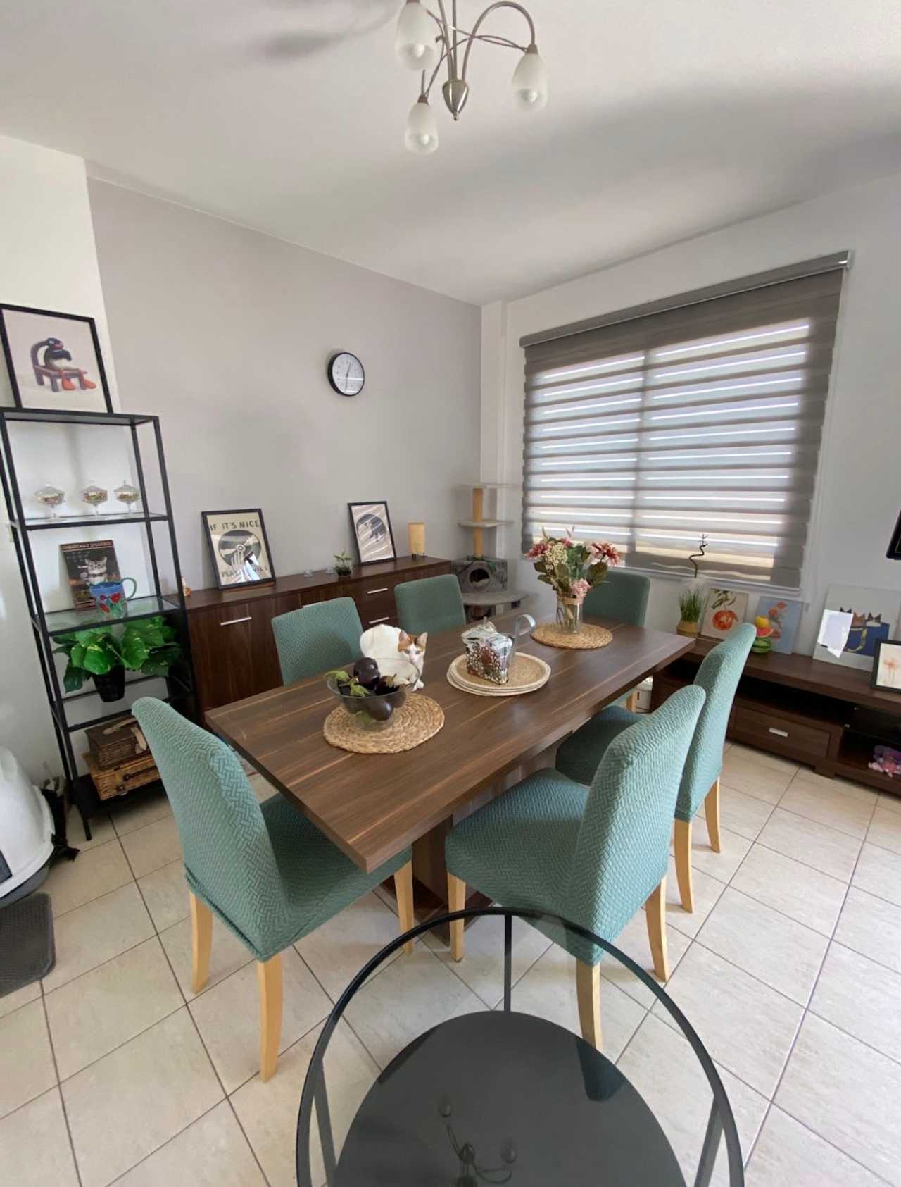 Gorgeous Old Town Apartment 150m from the Beach for Cyprus cat lovers!