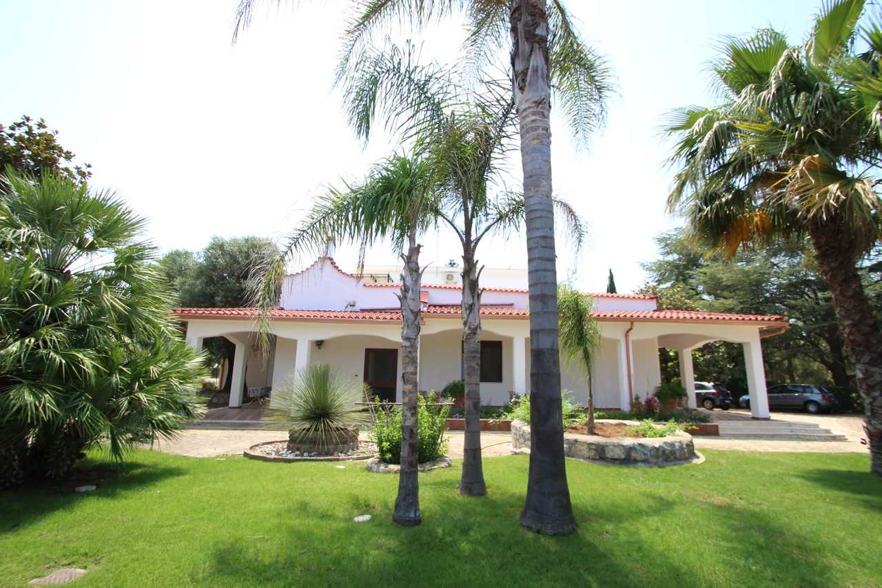 Luxury villa in midst of an ancient olive grove, ideal for families