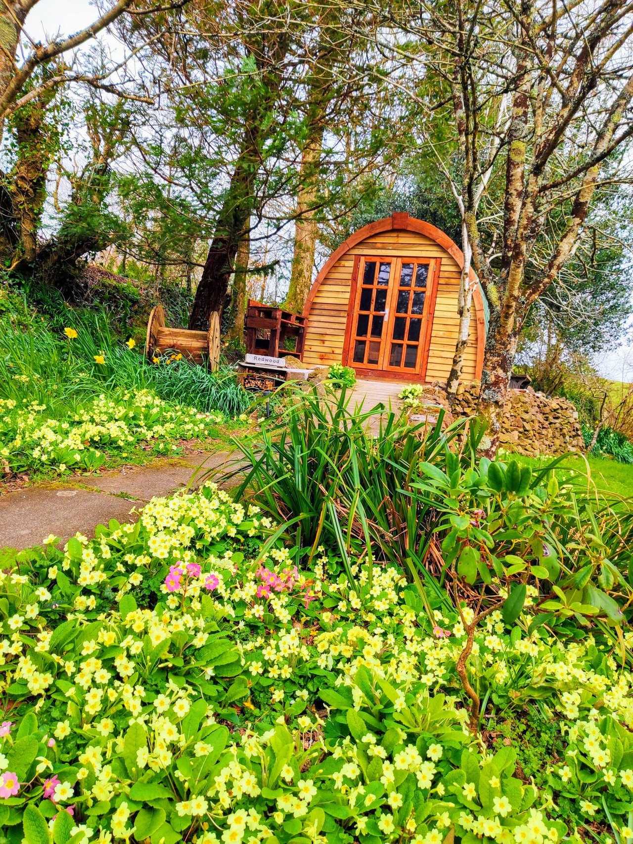 'Redwood' The Relaxing Pod