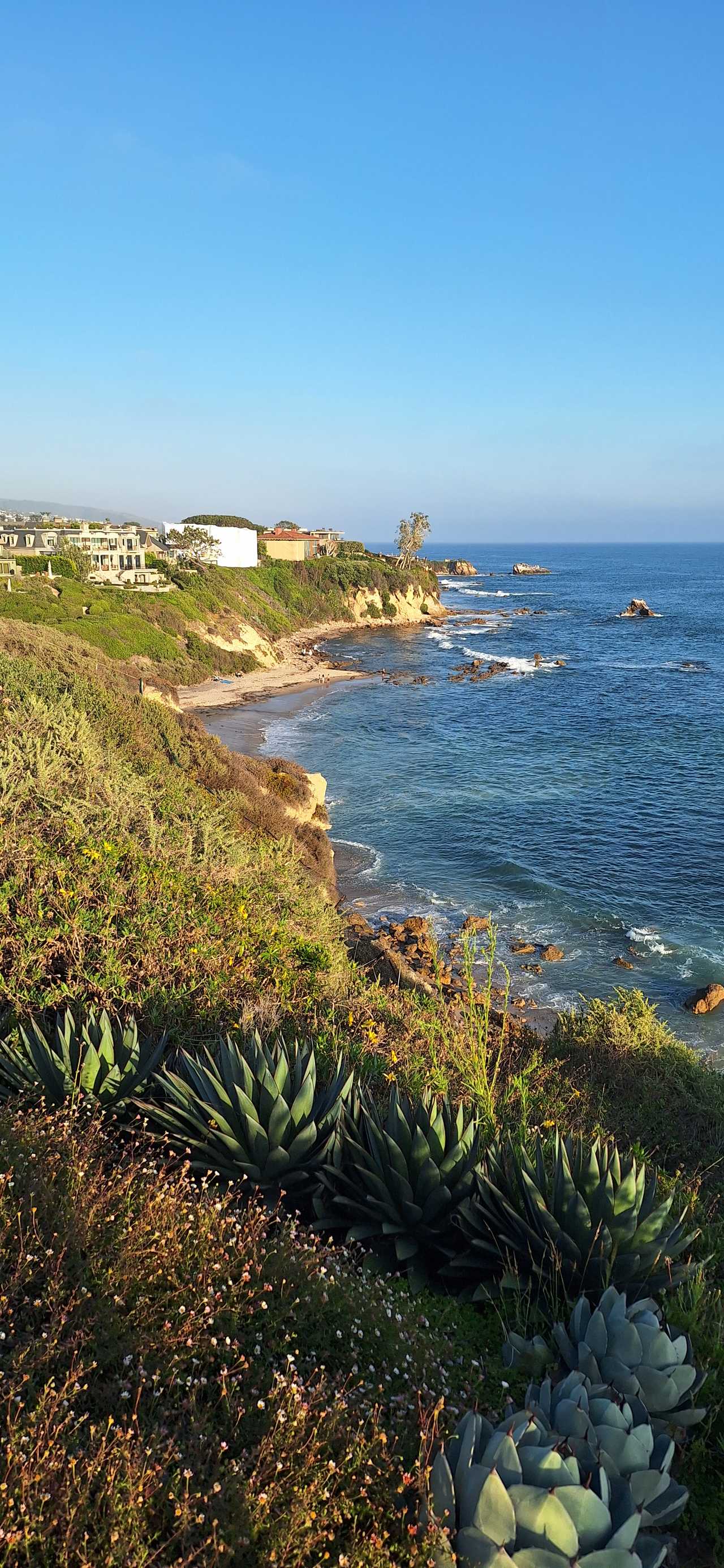 Shared Vegan home on the California coast just blocks from the beach