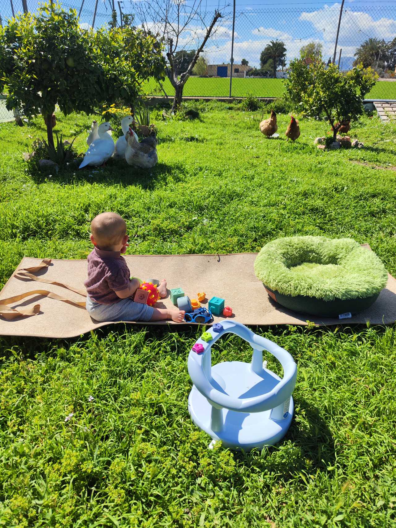 Healthy and Peaceful Stay in our grounds