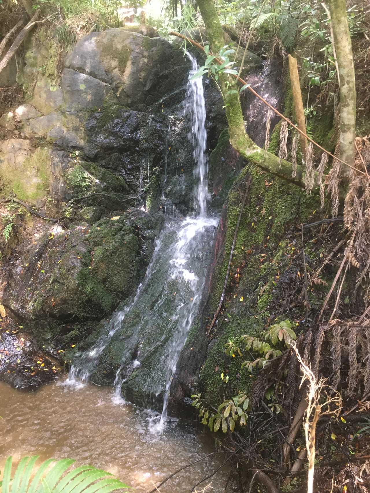 Room to roam, grow your soul, eat drink breathe veganic. Escape winter. Evolve.