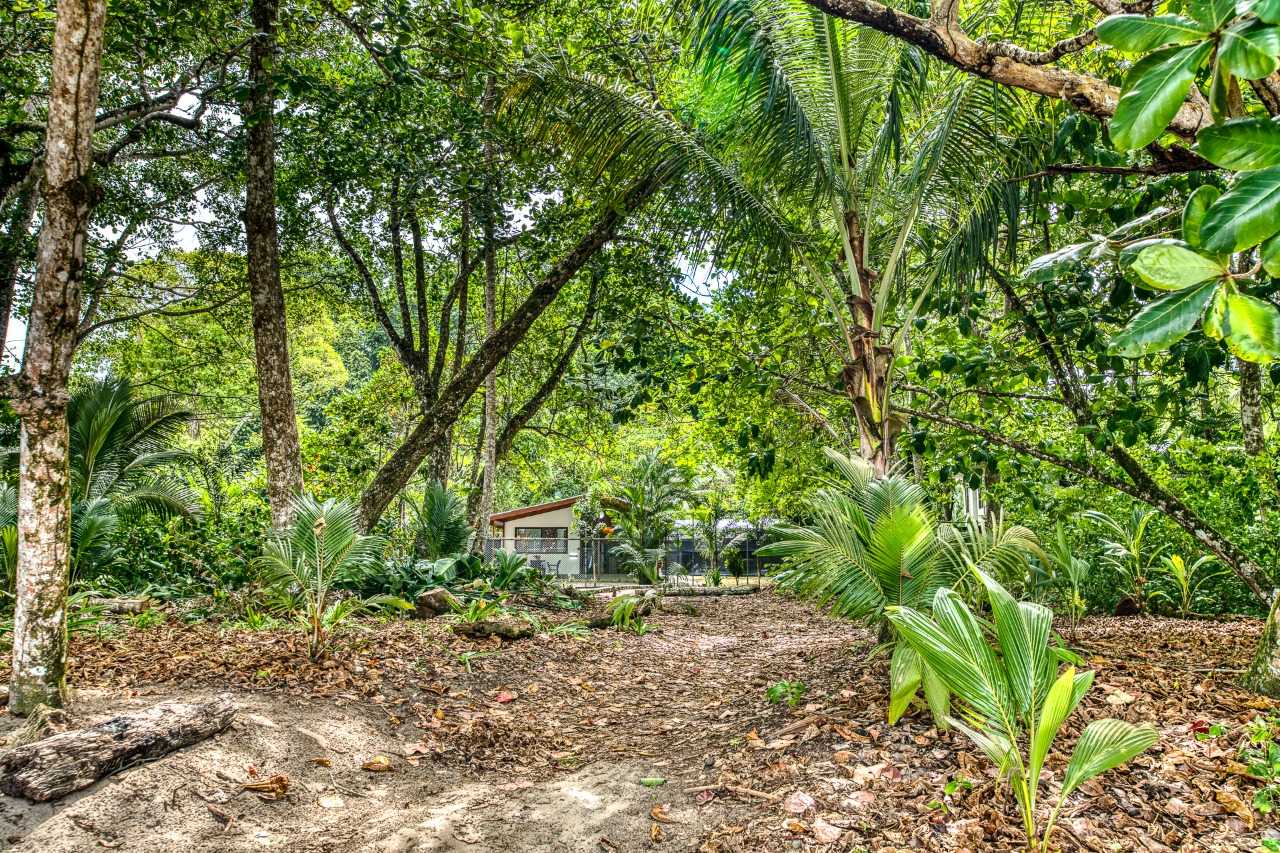 Oceanfront House with AC & Wifi @ Cocles Beachbreak