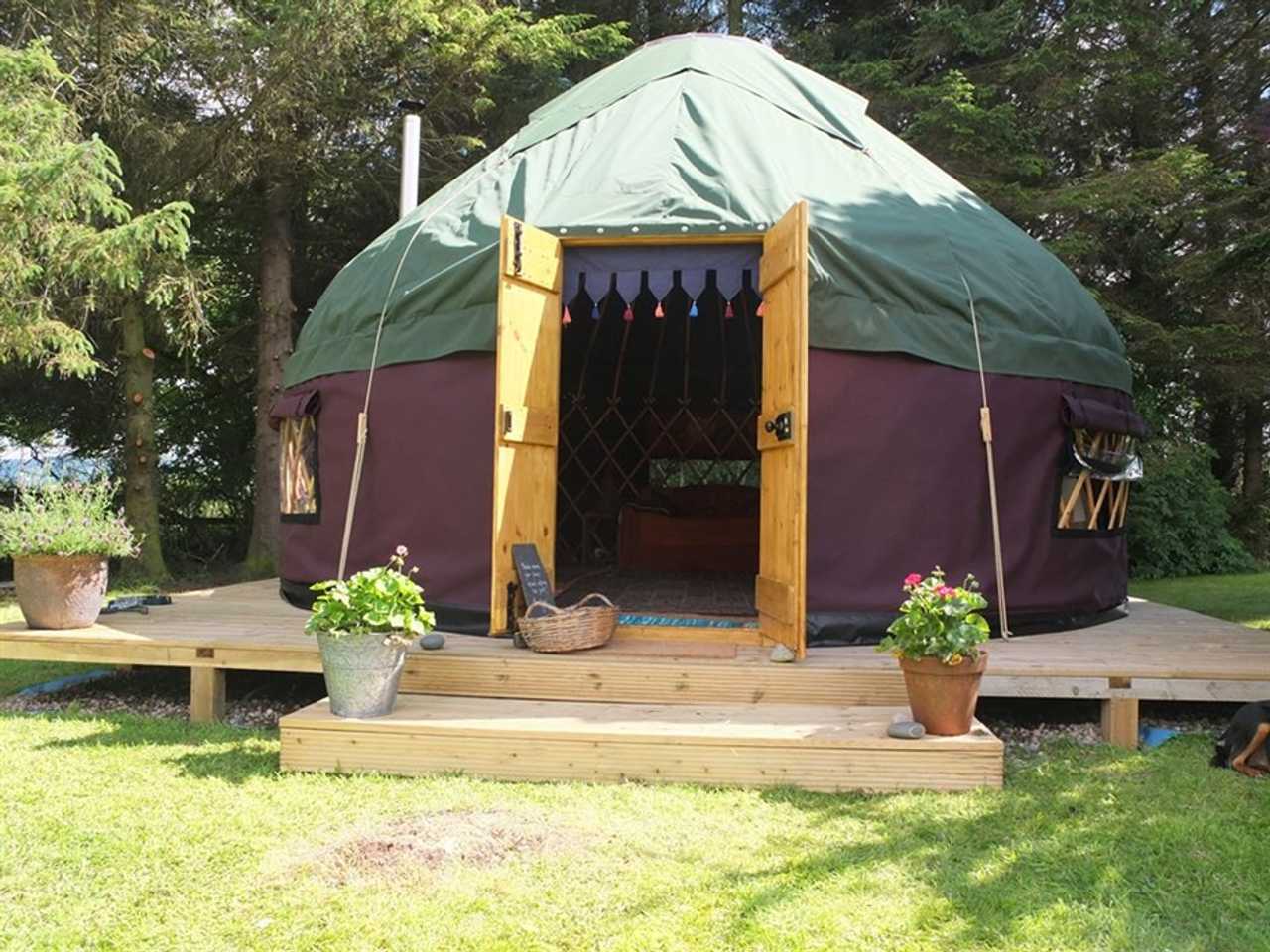 Warm, cosy yurt, sleeps six.